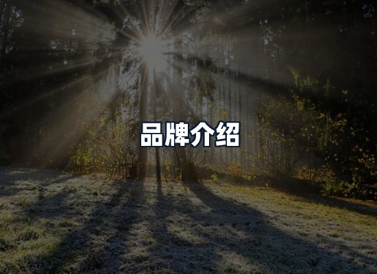 品牌介绍