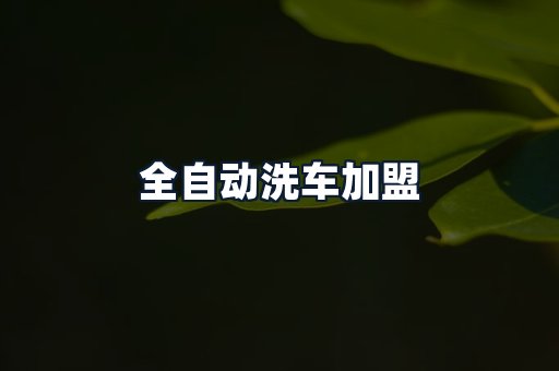 全自动洗车加盟